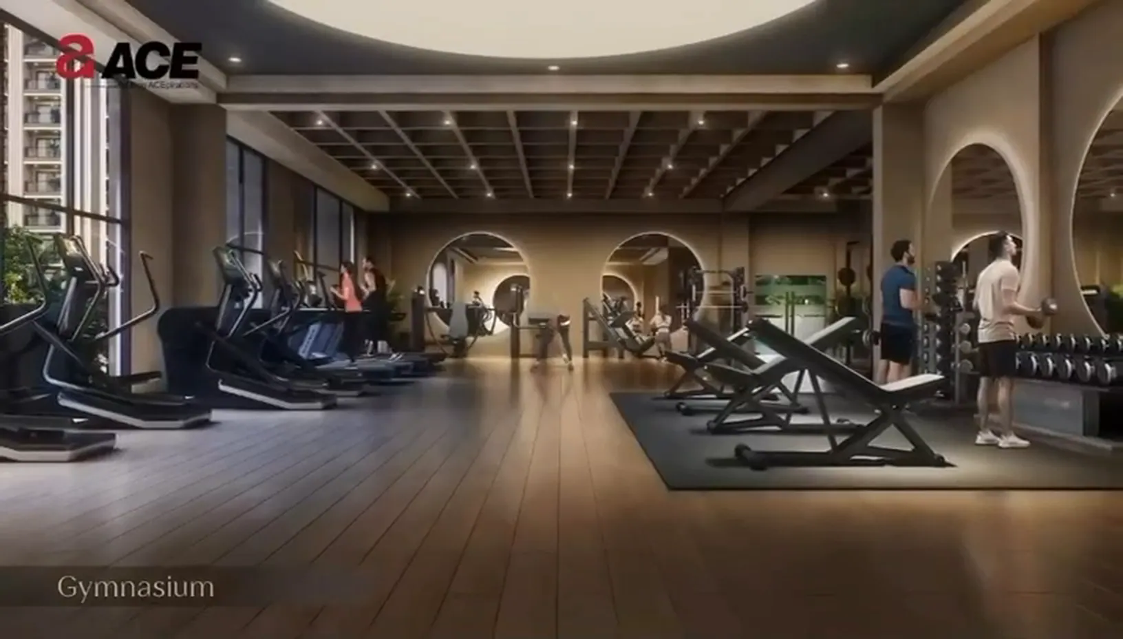 ACE Arte: the gymnasium